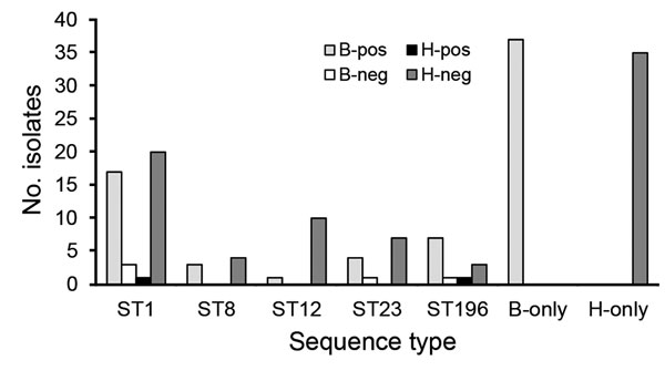 Distribution of lacEFG PCR–positive (pos) and –negative (neg) human (H) and bovine (B) Streptococcus agalactiae isolates across sequence types (ST). STs found in both host species are shown individually, whereas STs that were found in a single species are grouped by species.