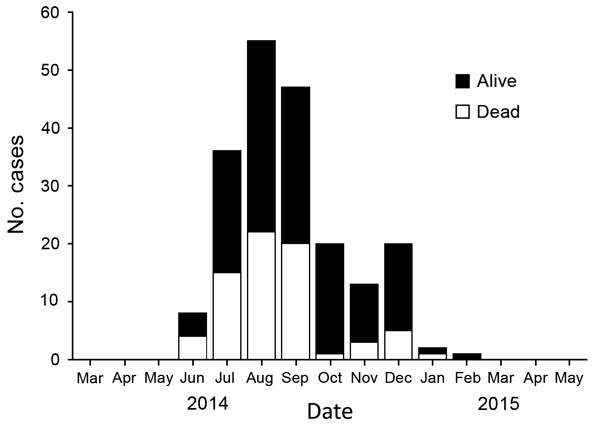 Trends for reported Ebola virus infections among 202 healthcare workers, by status and month, Liberia, March 2014–May 2015. Data source: daily aggregate reports of new cases in healthcare workers in Liberia and Liberia Ministry of Health and Social Welfare situation reports.