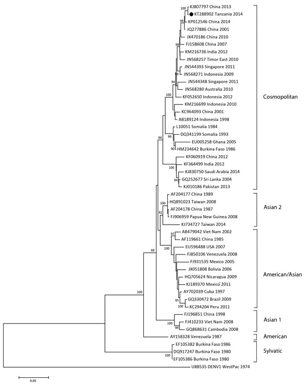 Phylogenetic analysis of complete envelope gene sequences (1,485 nt, position 937–2421 of strain KP012546) of 48 dengue virus serotype 2 (DENV2) strains representing 6 genotypes, Dar es Salaam, Tanzania, 2014. Bootstrap values (&gt;90%) are shown at key nodes. DENV1 West Pacific was used as an outgroup. Solid circle indicates strain isolated in this study. Scale bar indicates nucleotide substitutions per site.