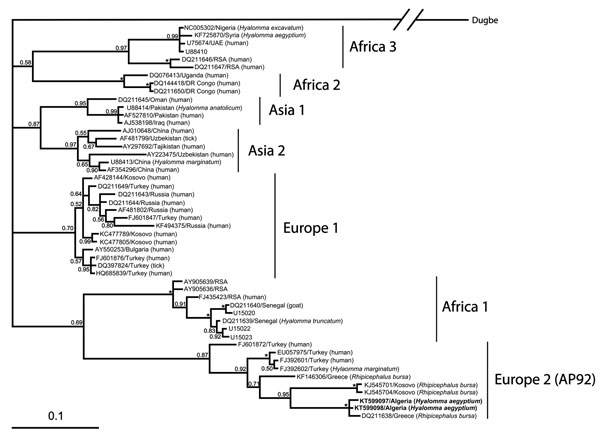Phylogenetic analysis of Crimean-Congo hemorrhagic fever virus small RNA segment sequences, performed by using Bayesian inference in MrBayes version 3.1.2. (http://mrbayes.csit.fsu.edu/) under a GTR + Γ + I (general time-reversible plus gamma distribution plus invariable site) model with 107 generations setup. Bootstrap values (&gt;50%) are shown at nodes, * indicates 1.00 bootstrap value. The scale bar represents the estimated number of substitutions per site. Individual sequences are named wit