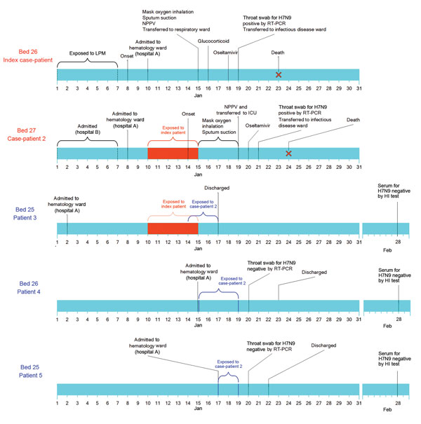 Timeline of pertinent exposures, dates of illness onset, and virologic findings for 2 patients (index case-patient and case-patient 2) who were co-infected with avian influenza A(H7N9) and A(H1N1)pdm09, and 3 non–H7N9-infected patients who shared the same hematology ward, Taizhou Hospital (hospital A), Zhejiang Province, China, January 10–15, 2014. Orange box indicates the period when patients 2–5 were exposed to the index case-patient. Blue line indicates that the period when the 3 non–H7N9-inf
