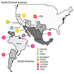 Thumbnail of Coccidioides subspecies distribution for North, Central, and South America. The frequency of assignment for each Coccidioides population was plotted in a pie chart for each location, and numbers of isolates from each location are displayed. For example, patients from Mexico were infected with isolates from Texas, San Diego, and Mexico populations, as determined by analysis with STRUCTURE. Because each of the patients’ location is the hospital, no fine-scale population is assessed. 