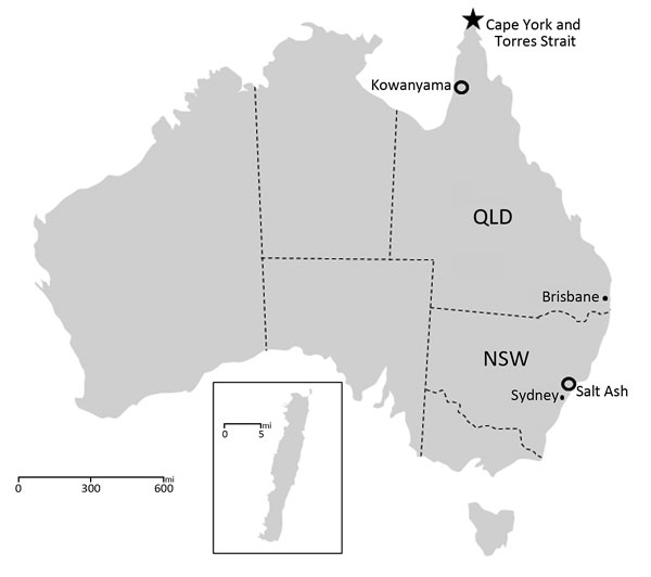 Bunyavirus collection and FTA card (Whatman, Maidstone, UK) sampling sites in Australia. Virus was collected from sites (open circles) in New South Wales (NSW), Queensland (QLD), and Macquarie Island (inset; 54°30S, 158°57E). Salt Ash is a town near Nelson Bay, NSW. Kowanyama is the site of the Mitchell River Mission, Queensland. FTA card sampling sites from Badu Island in the Torres Strait and Seisia and Bamaga on Cape York Peninsula are shown (star).