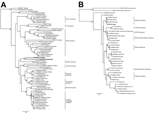 Phylogenetic trees including bunyaviruses from Australia. A) Relationship of Kowanyama and Yacaaba viruses (both in boldface) to other orthobunyaviruses constructed by using the predicted open reading frame sequence of the glycoprotein with a maximum-likelihood model. B) Relationship of Taggert virus (boldface) to other nairoviruses demonstrated by using the predicted open reading frame of a short fragment of the large segment (&lt;450 nt) and a maximum-likelihood model. Virus serologic and gene