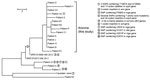 Thumbnail of Phylogenetic single-nucleotide polymorphism (SNP) tree of emm59 isolates from a northern Arizona hospital displaying distribution of mutations in a 23kb positively selected region during invasive group A Streptococcus outbreak, southwestern United States. Maximum parsimony tree of all SNP loci (n = 58) in emm59 isolates (n = 18) from Arizona, 2 recent New Mexico isolate genomes, and the Canadian clone reference isolate MGAS15252. Consistency index = 1.0. Branch lengths represent num