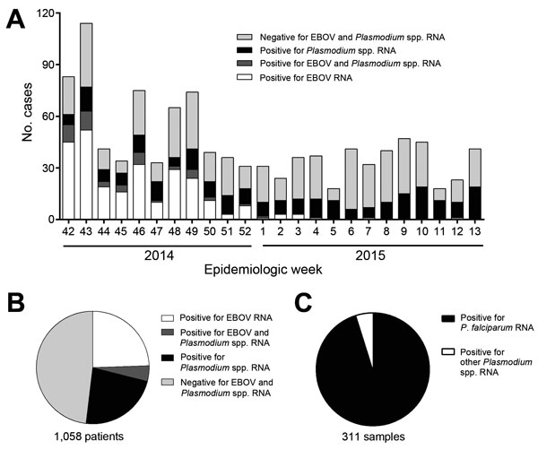Prevalence of Ebola virus (EBOV) and Plasmodium spp. RNA in patient samples submitted to the Centers for Disease Control and Prevention–National Institutes of Health diagnostic laboratory at the Eternal Love Winning Africa campus in Monrovia, Liberia, from October 12, 2014 (epidemiologic week 42), through March 28, 2015 (week 13). Whole blood samples were inactivated, and RNA was extracted by using the QIAAmp Viral RNA Mini Kit (QIAGEN, Hilden, Germany). These samples were then tested for the pr