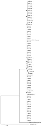 Thumbnail of Phylogenetic analysis of African swine fever virus detected in pigs (outbreaks) and wild boar (cases) in Poland. Numbers on branches indicate bootstrap coefficient values. Scale bar indicates nucleotide substitutions per residue.