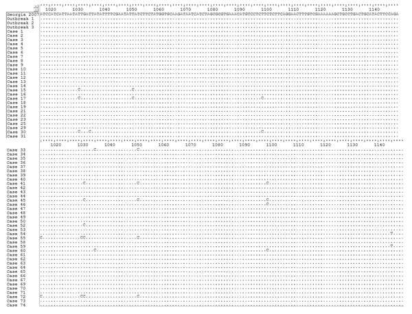 Nucleotide alignment of the MGF505–2R gene variable sequence fragment (residues from 1,015 to 1,149 nt) showing point mutations and differences between isolate Georgia 2007/1 isolate and African swine fever virus field isolates from Poland. The graph was generated by using Bioedit version 7.2.5 software (Ibis Biosciences, Carlsbad, CA, USA). The dots indicate identical nucleotide residues. The variable residues are visible as a nucleotide symbol.