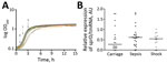 Thumbnail of Expression of sprD in 61 Staphylococcus aureus isolates, Rennes, France. A) Representative growth curves. Each curve indicates 1 strain. Arrows indicate times at which the total RNAs were collected. E, early exponential growth phase; L, late exponential growth phase; S, stationary growth phase. B) Isolates analyzed for sprD (srn_3800) expression levels at E growth phase: 21 from asymptomatic carriers, 23 from patients persons with nonsevere sepsis, and 17 from patients with septic s