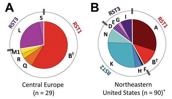 Distribution of Borrelia burgdorferi sensu stricto strains by outer surface protein C (OspC) and ribosomal RNA intergenic spacer type (RST). A) 29 isolates from patients with Lyme borreliosis in cental Europe (Slovenia). B) 90 isolates from patients with erythema migrans in the northeastern United States. OspC types are indicated by letters, and RSTs are indicated by colors. Red, RST1; blue, RST2; purple, RST3. *Based on previously published data (10). †Denotes OspC genotype (OspC type B) found 