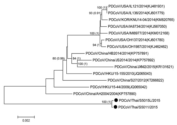 Phylogenetic analysis of whole-genome sequences of porcine deltacoronaviruses (PDCoVs), Thailand. Black circles indicate strains isolated in this study. The tree was constructed by using MEGA version 6.06 (http://www.megasoftware.net/) with the neighbor-joining algorithm and bootstrap analysis with 1,000 replications and BEAST (http://beast.bio.ed.ac.uk/) with Bayesian Markov chain Monte Carlo analysis of 5,000,000 generations and an average SD of split frequencies &lt;0.05. Numbers along branch