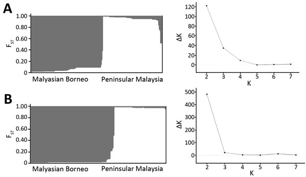 Most likely number of Plasmodium knowlesi parasite subpopulation haplotype clusters (K) in Malaysian Borneo (gray) and Peninsular Malaysia (white). A) Type A small subunit ribosomal 18S RNA (K = 2, ΔK = 121.79), including comparison of K and ΔK; B) cytochrome oxidase subunit I (K = 2, ΔK = 481.27), including comparison between K and ΔK. Relationships were determined by using Bayesian model–based STRUCTURE version 2.3.4 software (The Pritchard Laboratory, Stanford University, Stanford, CA, SUA). 