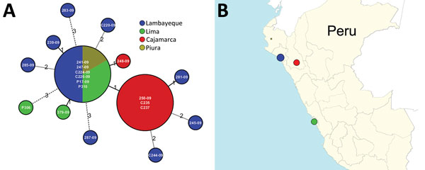 V. parahaemolyticus outbreaks in Peru, 2009. A) Minimum spanning tree showing the loci differences among Peruvian sequence type (ST) 120 strains. Ridom SeqSphere+ version 3.0.0 (http://www.ridom.de/seqsphere) identified 4,265 loci shared among all ST-120 V. parahaemolyticus strains. The numbers above the connected lines are loci differences. The lines are not to scale. B) Geographic locations of these ST-120 strains in Peru.