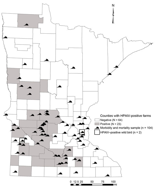 Wild bird morbidity and mortality samples (n = 104) screened for highly pathogenic avian influenza virus (HPAIV) in Minnesota through June 4, 2015. A HPAIV-positive Cooper’s hawk and black-capped chickadee were confirmed in Yellow Medicine County, April 29, 2015, and in Ramsey County, on July 7, 2015, respectively.