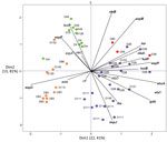 Thumbnail of Principal component analysis of the virulence profiles of VT2f-producing verotoxigenic Escherichia coli (VTEC) strains isolated from fecal samples from human uncomplicated diarrheal case-patients (orange), human hemolytic uremic syndrome patients (red), and pigeon feces (green). Non-O157 VTEC that do not produce VT2f are indicated in purple. This analysis clusters isolates on the basis of similarities in virulence gene content. Isolates clustering together have similar virulence pro
