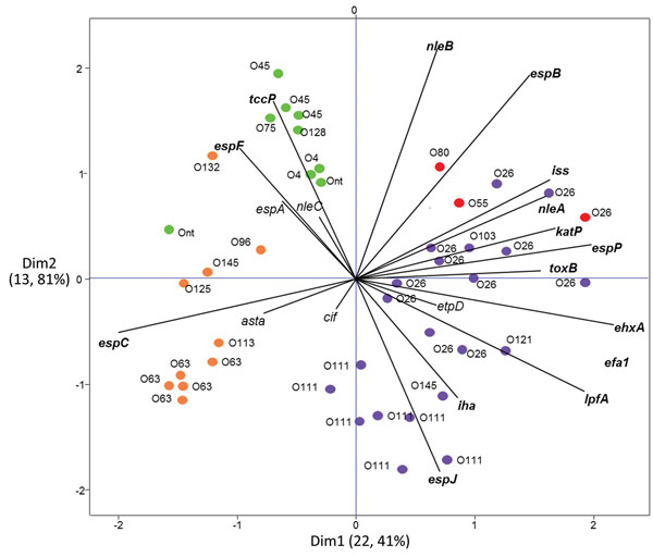 Principal component analysis of the virulence profiles of VT2f-producing verotoxigenic Escherichia coli (VTEC) strains isolated from fecal samples from human uncomplicated diarrheal case-patients (orange), human hemolytic uremic syndrome patients (red), and pigeon feces (green). Non-O157 VTEC that do not produce VT2f are indicated in purple. This analysis clusters isolates on the basis of similarities in virulence gene content. Isolates clustering together have similar virulence profiles. Lines 