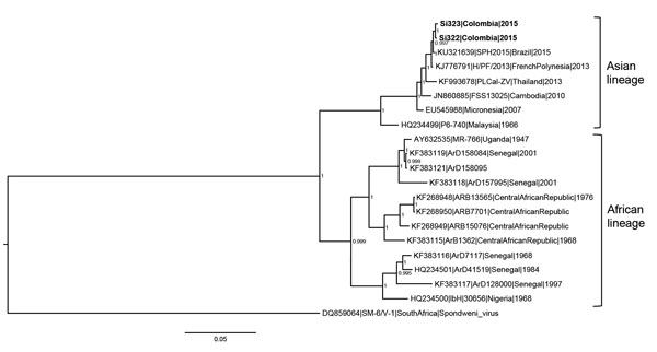Majority-rule consensus tree based on Zika virus envelope and nonstructural protein 1 gene sequences (2,604 nt) of isolates from patients in Sincelejo, Colombia, October–November 2015, compared with reference isolates. The tree was constructed on the basis of Bayesian phylogenetic analysis with 8 million generations and a general time-reversible substitution model using MrBayes software version 3.2 (http://mrbayes.sourceforge.net). Numbers to the right of nodes represent posterior probabilities 