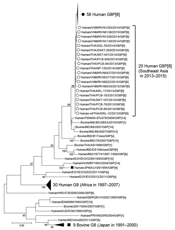 Phylogenetic analysis of the viral protein 7 gene of G8 rotavirus strains used in a study of the clinical and molecular features of a G8P[8] rotavirus outbreak strain, Hokkaido Prefecture, Japan, 2014. Closed circle indicates the G8P[8] rotavirus strain from Hokkaido; open circles indicate human G8P[8] strains from Southeast Asia; and closed boxes indicate other strains from Japan. A Tamura 3-parameter model was used for the maximum-likelihood method. Bootstrap values are shown at the branch nod