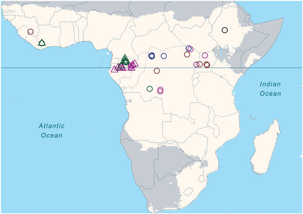 Locations of known Ebola virus spillover events, Africa, 1960–2010. Brown region indicates the focal region in Africa of annual rainfall &gt;500 mm. Open circles indicate human spillovers, open triangles infection/mortality in nonhuman primates or in other mammals. Yellow, blue, green, magenta, and black indicate the 5 respective decades during 1960–2010. Solid horizontal line marks the equator. No known Ebola spillovers occurred in the 1980s.
