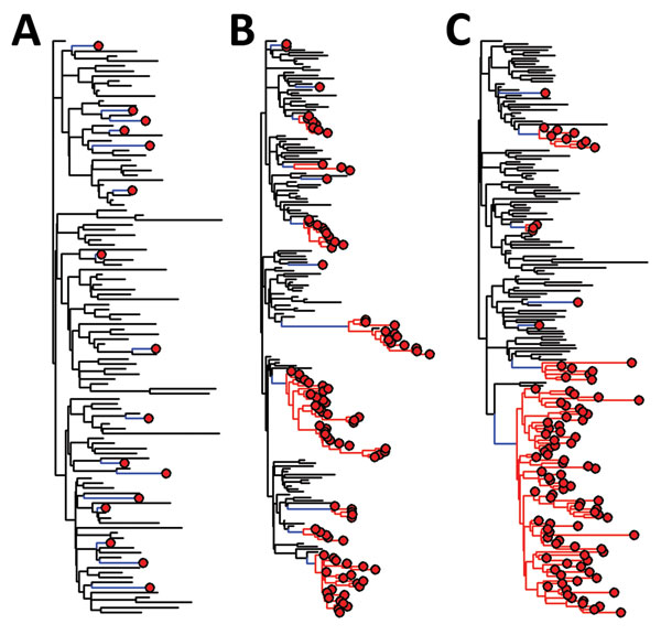 Phylogenetic trees for simulated emerging infectious disease outbreaks caused by RNA and DNA viruses in a mixed population of 1,000 human and 5,000 nonhuman hosts. Trees were constructed by using a standard susceptible–infected–removed model (6). For each of 3 infection scenarios in nonhuman hosts (black lines), rare zoonotic transmission events (blue lines), human-to-human transmission (red lines), and human cases (red circles) are indicated. For the nonhuman population R0 = 2 throughout. Trans