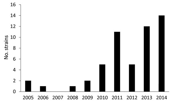 Number of enterohemorrhagic Escherichia coli O80:H2 strains detected annually, France, January 2005–October 2014.