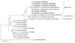 Thumbnail of Phylogenetic tree based on nucleotide sequences of the 16s rRNA (1,400-bp) genes of Borrelia miyamotoi isolates from humans and ticks in northeastern China, May 2013–June 2015, and comparison sequences. Boldface indicates the B. miyamotoi identified in this study; GenBank accession numbers are provided for all isolates. Neighbor-joining trees were constructed by using the maximum-likelihood method in MEGA software version 6.0 (http://www.megasoftware.net). Scale bar indicates estima