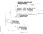 Thumbnail of Phylogenetic analyses based on nucleotide sequences of the flagellin (506-bp) genes of Borrelia miyamotoi isolates from humans and ticks in northeastern China, May 2013–June 2015, and comparison sequences. Boldface indicates the B. miyamotoi identified in this study; GenBank accession numbers are provided for all isolates. Neighbor-joining trees were constructed by using the maximum-likelihood method in MEGA software version 6.0 (http://www.megasoftware.net). Scale bar indicates est
