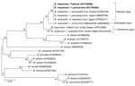 Thumbnail of Phylogenetic analyses based on nucleotide sequences of the glycerophosphodiester phosphodiesterase (461-bp) genes of Borrelia miyamotoi isolates from humans and ticks in northeastern China, May 2013–June 2015, and comparison sequences. Boldface indicates the B. miyamotoi identified in this study; GenBank accession numbers are provided for all isolates. Neighbor-joining trees were constructed by using the maximum-likelihood method in MEGA software version 6.0 (http://www.megasoftware