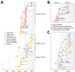 Thumbnail of A) Bayesian maximum clade credibility molecular clock tree of influenza virus H7 gene sequences. Branch colors represent the most probable ancestral locations of each branch, inferred from using a spatial phylogenetic model (see Materials and Methods for details). Three major clades of avian influenza A(H7N9) virus were nominated, and phylogenetic posterior probability support is shown for selected clades. B, C) Phylogenies showing hemagglutinin, Guangdong, China, third-wave clades.