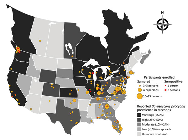 Locations for participant sampling in a study of Baylisascaris procyonis roundworm seroprevalence among wildlife rehabilitators, United States and Canada, 2012–2015. Yellow dots indicate counties (USA) or township/municipality (Canada) in which enrolled persons reported practicing wildlife rehabilitation. Red dots indicate locations of seropositive persons. Shading of states/provinces indicates general state/province level prevalence of B. procyonis in raccoons based on published reports (1,8–11