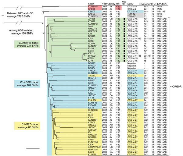 Core genome single-nucleotide polymorphism (SNP)–based phylogenetic tree of Escherichia coli sequence type (ST) 131 isolates. This maximum-likelihood phylogram is based on a 4,086,650-bp core genome and a total of 5,280 SNPs. The tree is rooted by using the outgroup H22 isolates, and asterisks indicate bootstrap support &gt;90% from 100 replicates. Strains that had previously been sequenced are in bold. The Country columns indicate places of isolation: Ja to Jw, Japan (a to w indicates hospitals