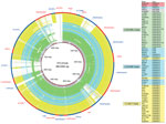 Thumbnail of Genome similarities to the Escherichia coli sequence type (ST) 131 genomic islands and the C1-M27 clade–specific region. Rings drawn by BRIG show the presence of these regions. Colored segments indicate &gt;90% similarity and gray segments indicate &gt;70% similarity by BLAST comparison between the regions of interest and each genome. Extended-spectrum β-lactamase types are indicated in parentheses of Type column. The regions from Flag2 to GI-lueX were found in EC958, the prophage 8