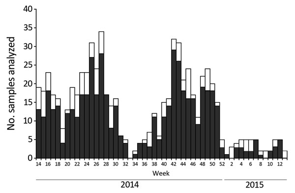 Weekly distribution of enterovirus infections associated with hand, foot and mouth disease and herpangina, France, April 2014–March 2015. Bar sections represent the number of enterovirus-positive (dark gray) and -negative (white) samples analyzed.