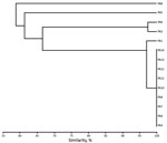 Thumbnail of Unweighted pair group method with arithmetic mean cluster analysis of XbaI-generated pulsotypes constructed with Dice coefficients for the 7 clinical isolates and the 7 environmental isolates of IMP-19−producing Pseudomonas aeruginosa linked to contaminated sinks, France. Isolates are indicated on dendrogram branches. The Dice coefficient scale is indicated at the bottom of the dendrogram. PA, patient.