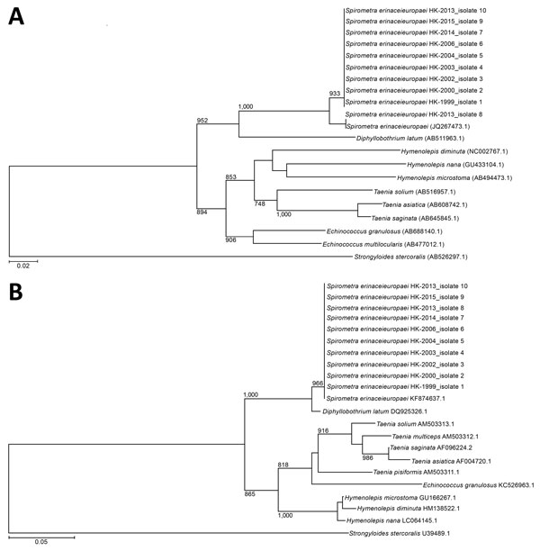 Phylogenetic analysis of cox1 and 28S rRNA genes of archived formalin-fixed paraffin-embedded tissues obtained from human sparganosis cases, Hong Kong, 1999–2015. A) A 252-bp sequence from the cox1 gene (GenBank accession nos. KU760072–81) was included for each isolate. B) A 211-bp sequence from the 28S rRNA gene (accession nos. KX831668–77) was included for each isolate. Trees were constructed by using the neighbor-joining method and rooted with the corresponding sequence in Strongyloides sterc