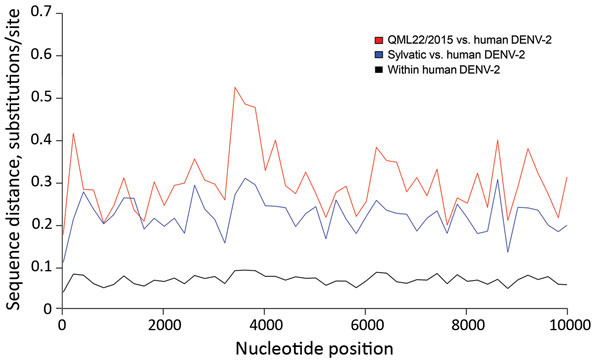 Sliding-window analysis of mean genetic (nucleotide) distance across the dengue virus type 2 (DENV-2) genome. Red line indicates comparison between QML22/2015 and human DENV-2 sequences. Equivalent analyses were performed on sylvatic DENV-2 versus human DENV-2 (blue line) and within the human DENV-2 sequences (black line). This analysis was based on genetic distances calculated by using sliding windows of 200 nt on the DENV-2 data described in Figure 1 and was performed by using the Analysis of 