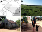 Thumbnail of Setting for investigation of human infection with spotted fever group Rickettsia in the Pampa biome, Brazil, 2015–2016. A) Rio Grande do Sul state, Brazil, and neighboring countries. Light gray shading indicates the Pampa biome; dark gray shading indicates bodies of water; dotted line indicates Rosário do Sul municipality; black triangle indicates patient’s household. B) Typical view of Pampa vegetation (and area used for hunting by patient). C) Patient’s home. D) The patient and 1 