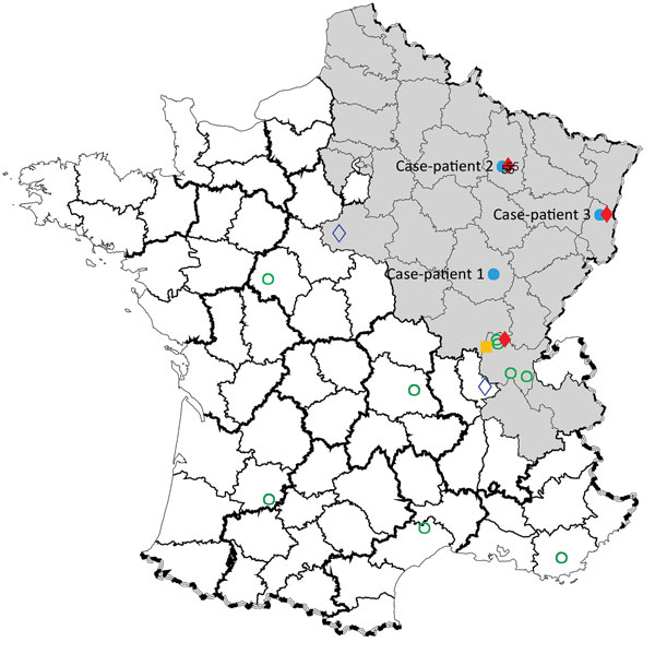 Geographic distribution of Seoul virus (SEOV) infections among human and rats, France 2016. Gray shading area indicates area of France to which Puumala virus is endemic. Open green circles indicate SEOV serologically confirmed human infections with SEOV reported by Ragnaud JM et al. (10), Le Guenno (11), and Bour et al. (6); solid blue circles indicate virologically confirmed human infections with SEOV reported in this study (patients 1, 2, and 3); solid yellow square indicates virologically con