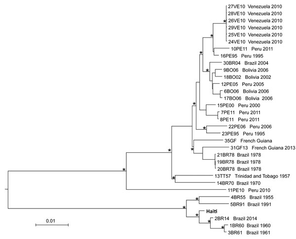 Neighbor-joining tree of full-genome Mayaro virus sequences. The tree was inferred from pairwise distances estimated with the best fitting nucleotide substitution model (general time reversible plus gamma). The tree includes the isolate from Haiti identified in this study (in boldface) and all full-genome sequences with known country of origin and sampling date downloaded from GenBank. Branches are drawn according to the scale bar at the bottom, which indicates nucleotide substitutions per site.