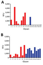Thumbnail of Glycan array analysis of recombinant H5 proteins of influenza A viruses. A) Wild-type H5N12.3.4 (KS) and B) H5N8 (QR) H5 proteins were applied to the glycan array precomplexed with StrepMAB-classic (IBA GmbH, Göttingen, Germany) and fluorescent secondary antibodies. Letters in parentheses indicate amino acids at positions 222 and 227. Binding of hemagglutinins is indicated in relative fluorescence units (RFU). Binding is shown to sialylated glycans present in the array for nonfucosy