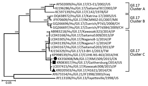Phylogenetic analysis based on the viral capsid protein 1 genes of the monkey GII.17 norovirus and other reference human GII.17 noroviruses. The analysis involved 20 full-length viral capsid protein 1–encoding genes (gene identification shown), including 17 previously reported GII.17 human norovirus representatives (black square indicates that reported in (9); black triangle indicates human GII.17 variants circulating in China [Figure 2]), the monkey GII.17 norovirus from this report (black circ