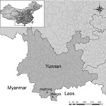 Thumbnail of Bat collection sites for a study on genetically diverse filoviruses in Rousettus and Eonycteris spp. bats in China. Triangles indicate Jinghong City and Mengla County, Yunnan Province, where 150 apparently healthy adult bats were collected from 2 caves in November 2009 (Jinghong City) and December 2015 (Mengla County). Inset map shows the location of Yunnan Province in China.