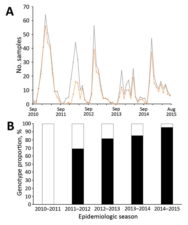 Circulating patterns of respiratory syncytial virus (RSV) in Kilifi, Kenya, September 2010– August 2015. A) Total RSV-positive cases (gray continuous line) and typed RSV-A samples (dotted orange line) by month. B) The proportion of RSV-A genotypes ON1 (black) and GA2 (green) per epidemic season. An RSV epidemic season is designated to start in September of 1 year until August of the following year. Unusually, for the last 3 seasons, group A represents most of all RSV cases