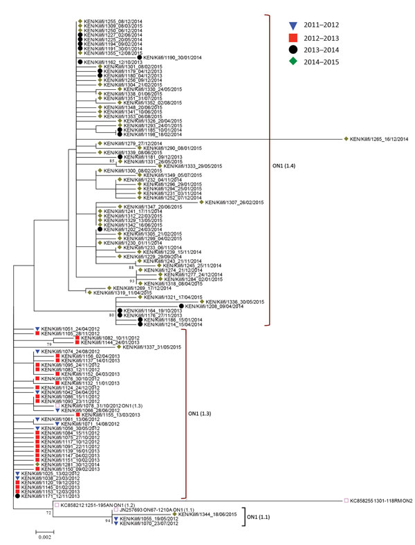 Maximum-likelihood phylogenetic tree of unique respiratory syncytial virus (RSV) genotype ON1 G gene ectodomain sequences from Kilifi, Kenya, 2012–2015. The taxa are color coded by the epidemic season of detection (key), and the names represent KEN/Kilifi/serialnodate of collection. Note that although the study detected RSV ON1 in the epidemic season 2011/2012, the first ON1 cases were in 2012.
