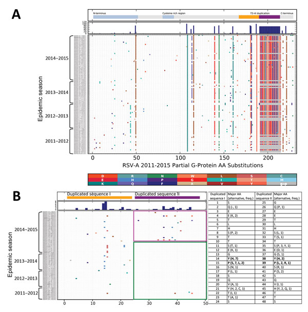 Amino acid substitutions in respiratory syncytial virus A (RSV-A) G protein for sequences isolated in Kilifi Kenya from season 2011/2012 to 2014/2015. All unique protein sequences per epidemic were collated, aligned and the amino acid differences from the earliest sequence determined and marked with vertical colored bars, with the substituted amino acid residue color coded as shown by the key between panels A and B. A) Full aligned aa sequence inferred from the G gene sequences (ON1 and GA2); B)