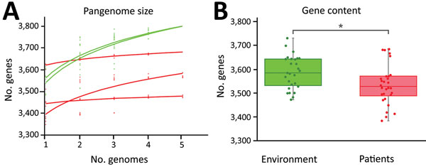 Variation in gene content between environmental and patient Legionella longbeachae samples. A) Increase in pangenome size with every addition of a L. longbeachae genome. Environmental isolates pangenomes (green) are larger and continue increasing after the addition of 5 genomes, consistent with an open pangenome, but the within-patient pangenome plateaus quickly, consistent with a more closed pangenome. B) Average gene content of environmental isolates is significantly higher than that of clinic