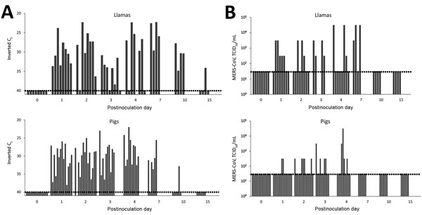 Viral shedding of llamas and pigs after experimental inoculation with MERS-CoV. A) Viral RNA and B) infectious MERS-CoV from nasal swab samples collected from llamas (top) and pigs (bottom) at different times after challenge. Each bar represents an individual animal. Dashed lines depict the detection limit of the assays. Ct, cycle threshold; MERS-CoV, Middle East respiratory syndrome coronavirus; TCID50, 50% tissue culture infective dose.