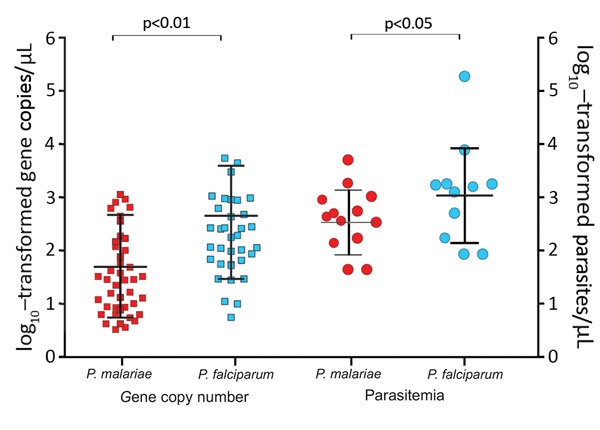 Plasmodium malariae and P. falciparum parasite gene copy numbers (per microliter) and parasitemia (parasites per microliter) in co-infected samples. Median, first quartile, and fourth quartile of the data are shown for each sample category (horizontal lines). Parasite gene copy number and parasitemia were lower in P. malariae–positive than in P. falciparum–positive samples. Squares represent samples with gene copy number measured by quantitative PCR; circles, samples with parasitemia estimated b