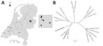 Thumbnail of Spatial distribution of TBEV-positive roe deer and genetic cluster analysis of TBEV sequences from the Netherlands. A) Spatial distribution of serologic test results (solid black circle, SNT positive; open white circle, ELISA and/or SNT negative) for 297 serum samples from roe deer collected according to a sampling scheme designed to obtain a representative sample of the roe deer population from locations across the Netherlands. Enlargement of the National Park Sallandse Heuvelrug a