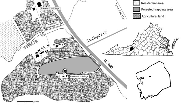 Study site used for detection of Cache Valley virus in Aedes japonicus japonicus mosquitoes, Blacksburg, Virginia, USA, 2015. Insets show location of Blacksburg in Montgomery County (black box) and the county in Virginia (black shading).